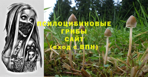 мдма Осинники
