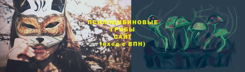 Галлюциногенные грибы Psilocybe  Сергач 